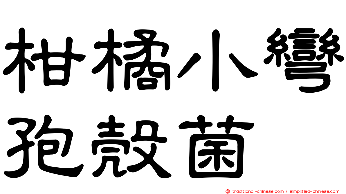 柑橘小彎孢殼菌