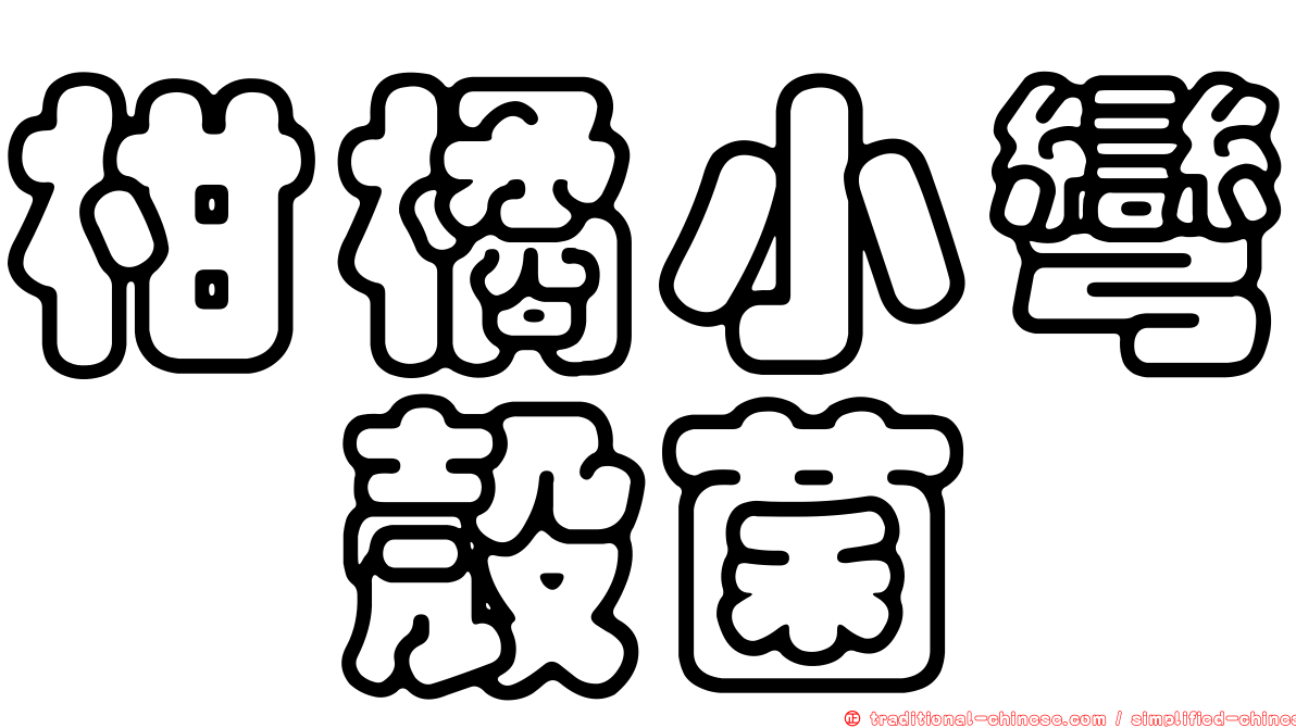 柑橘小彎孢殼菌
