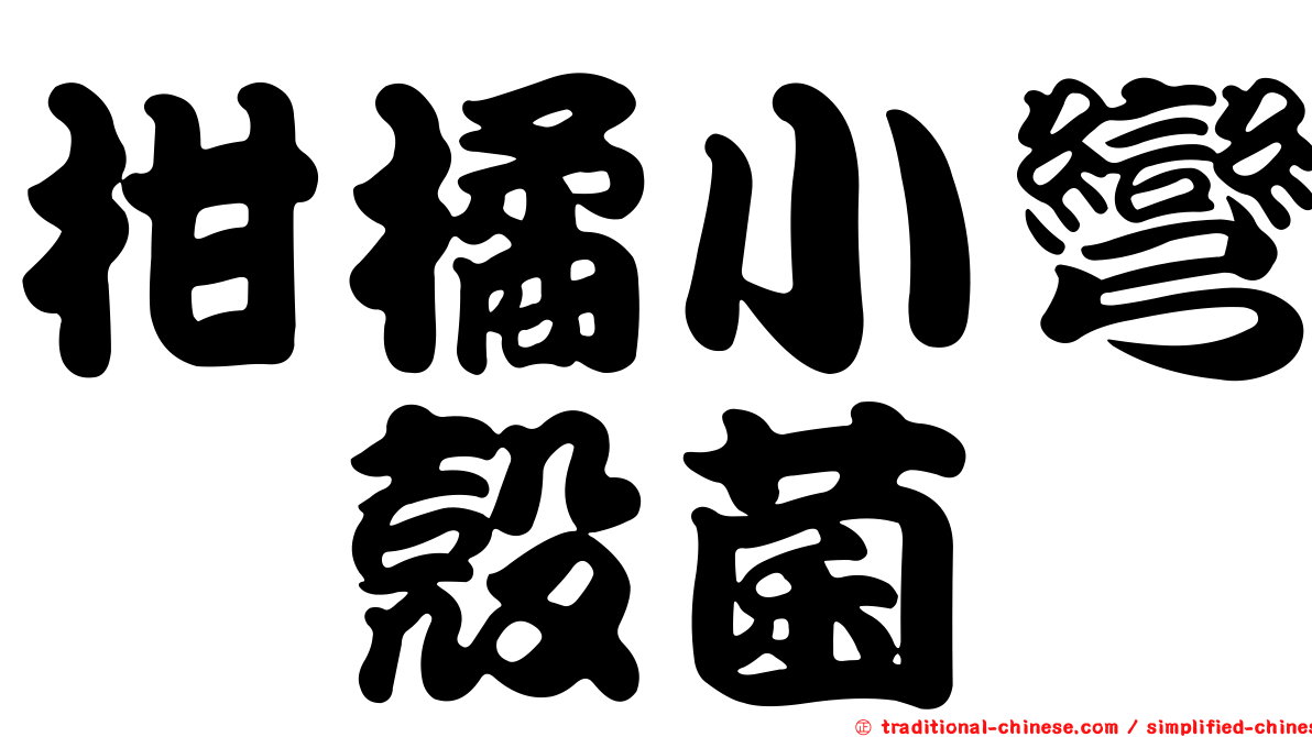柑橘小彎孢殼菌