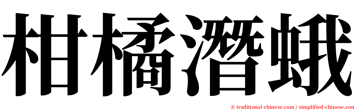 柑橘潛蛾 serif font