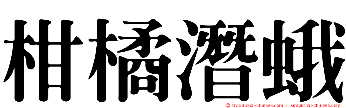 柑橘潛蛾
