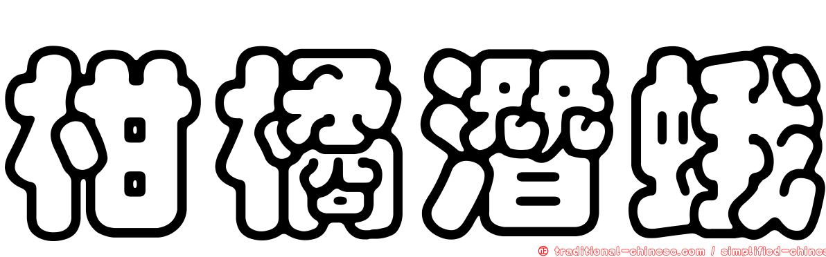 柑橘潛蛾