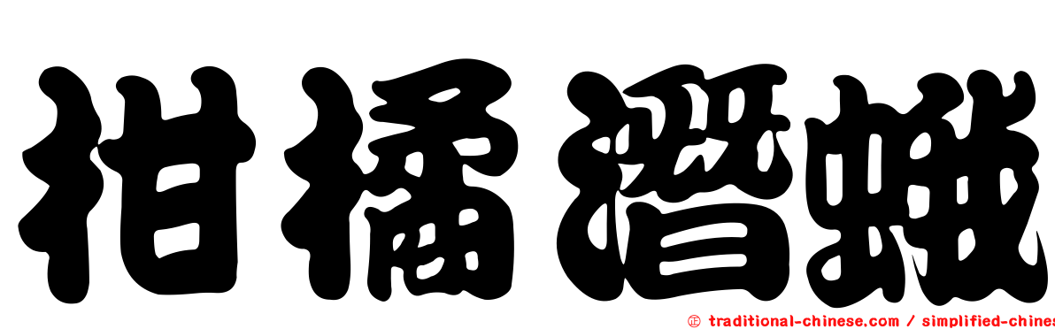 柑橘潛蛾
