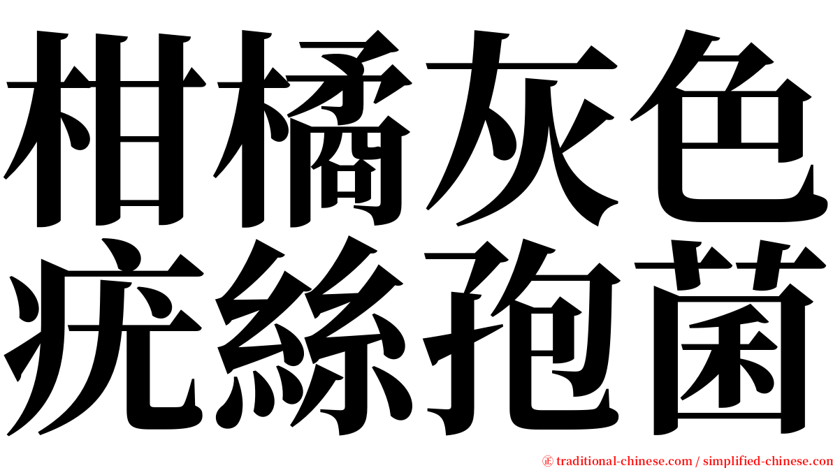 柑橘灰色疣絲孢菌 serif font