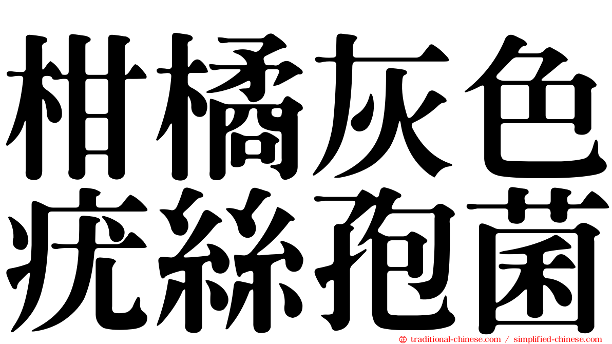 柑橘灰色疣絲孢菌