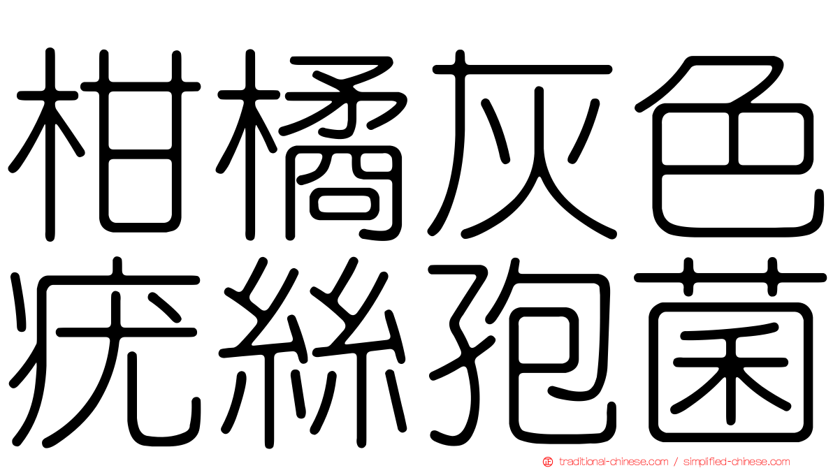 柑橘灰色疣絲孢菌
