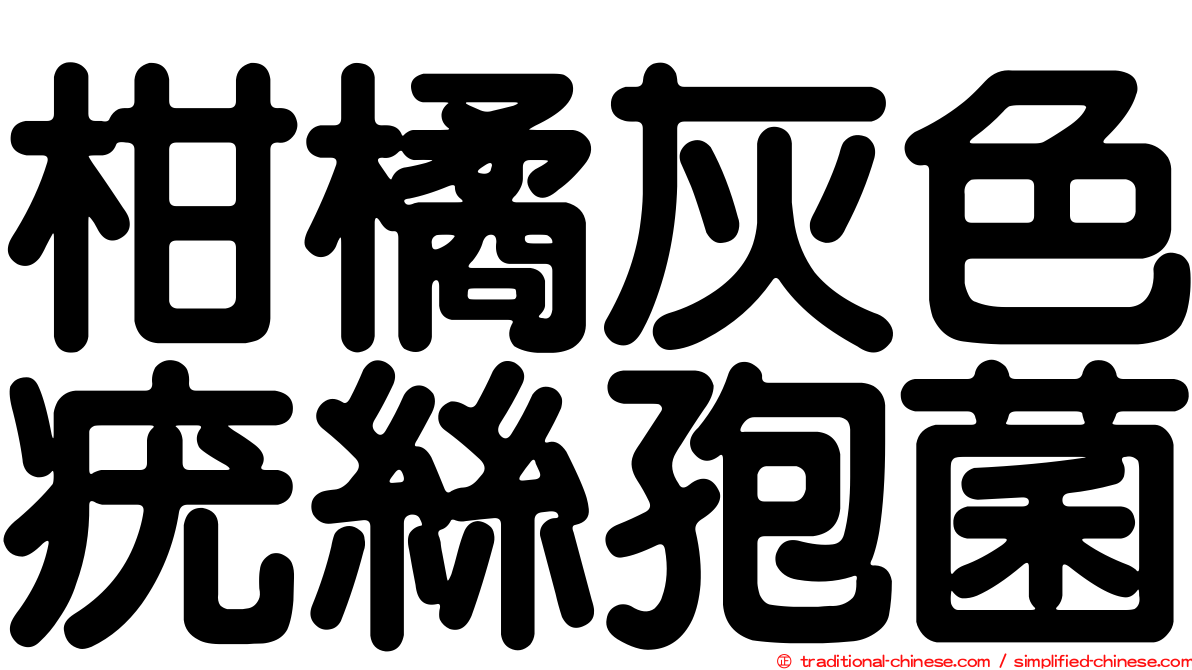 柑橘灰色疣絲孢菌