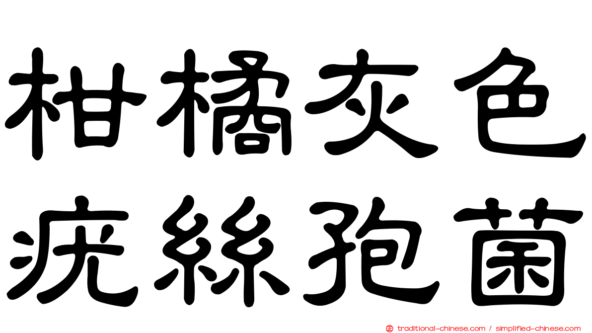柑橘灰色疣絲孢菌