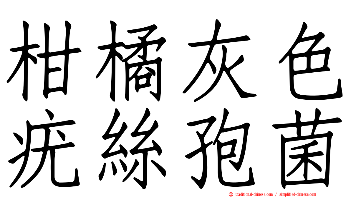 柑橘灰色疣絲孢菌