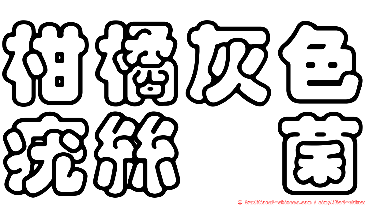 柑橘灰色疣絲孢菌