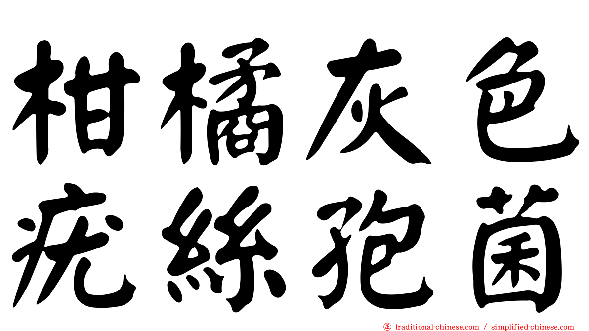 柑橘灰色疣絲孢菌