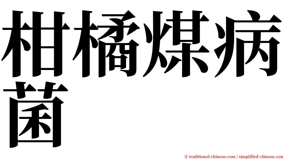 柑橘煤病菌 serif font