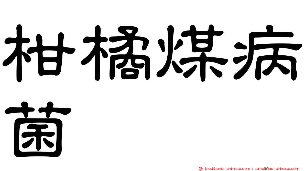 柑橘煤病菌