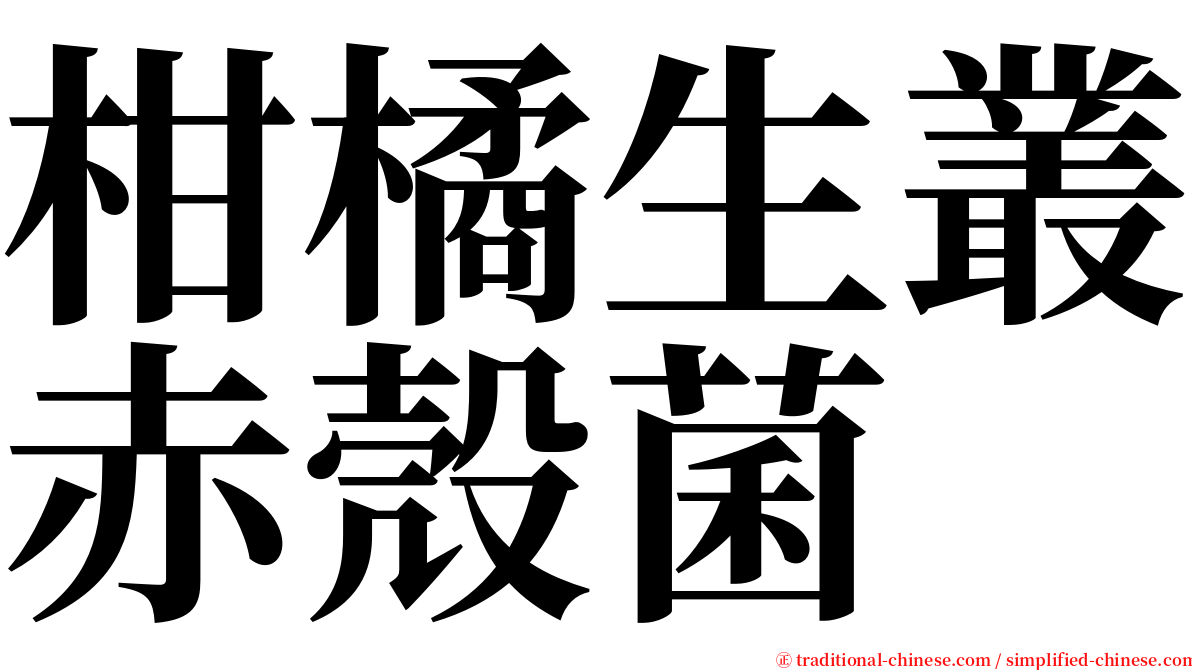 柑橘生叢赤殼菌 serif font