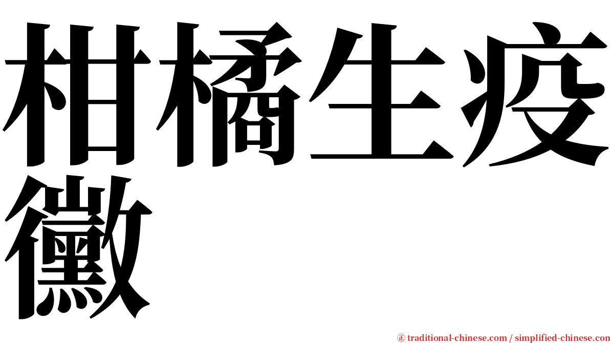 柑橘生疫黴 serif font