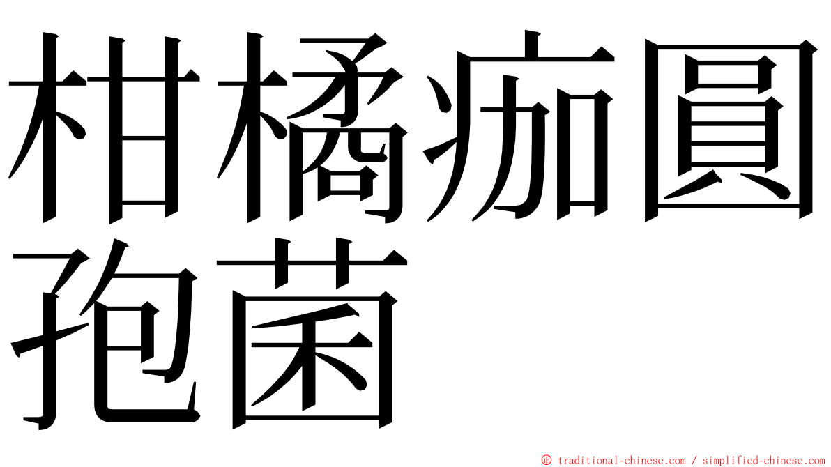 柑橘痂圓孢菌 ming font