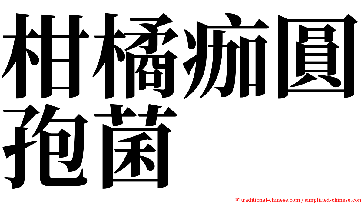 柑橘痂圓孢菌 serif font