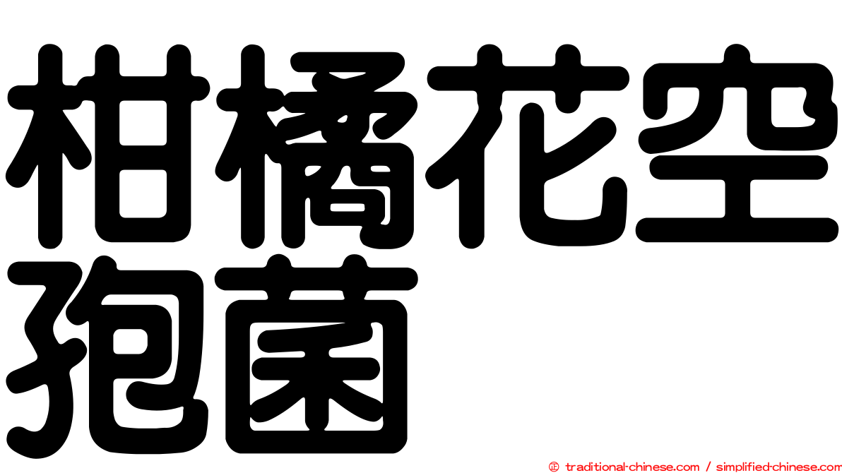 柑橘花空孢菌