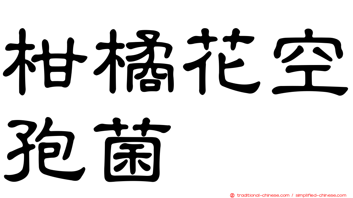 柑橘花空孢菌