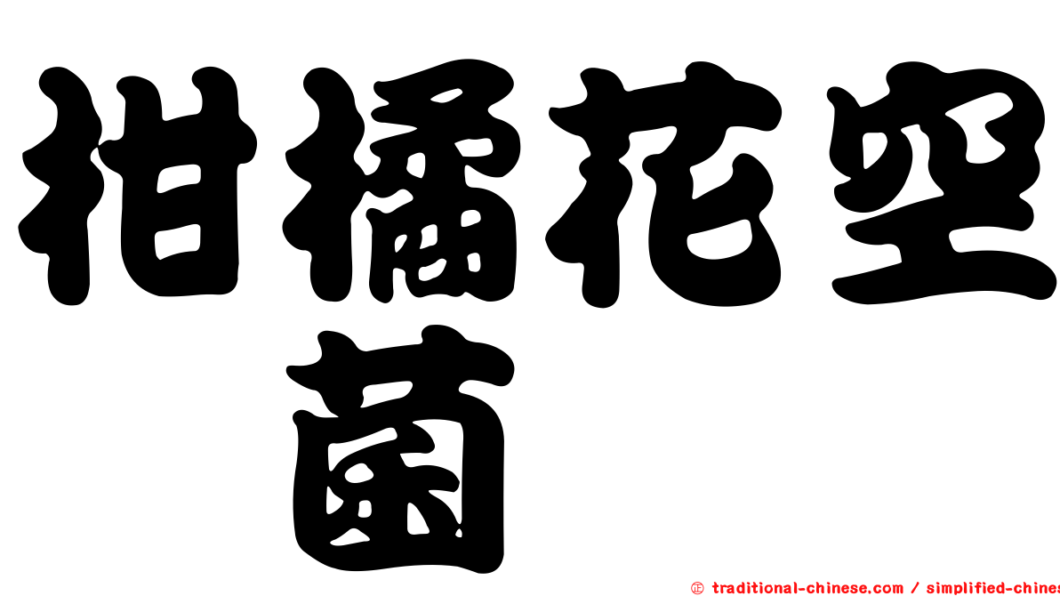 柑橘花空孢菌