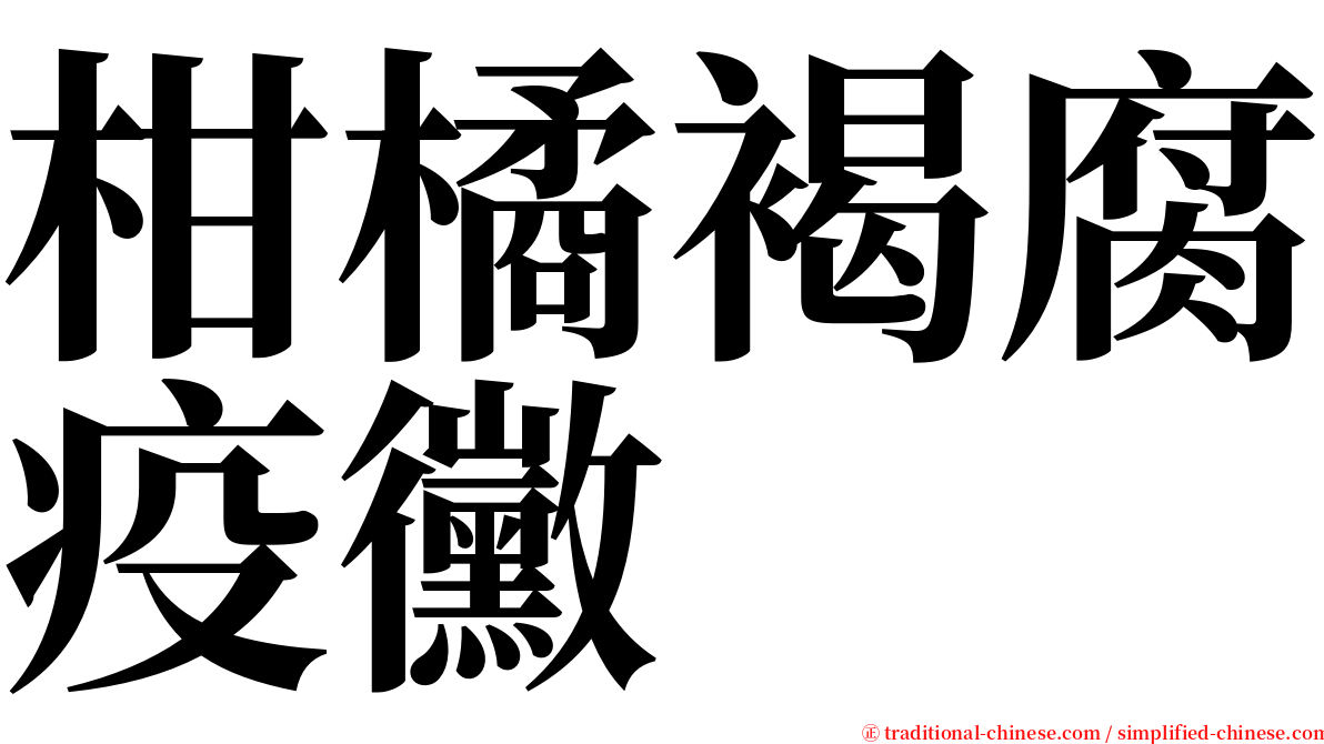 柑橘褐腐疫黴 serif font