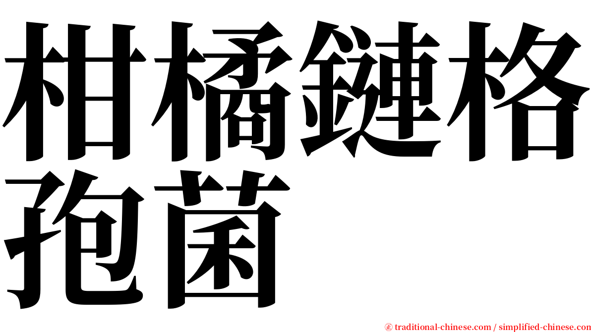 柑橘鏈格孢菌 serif font