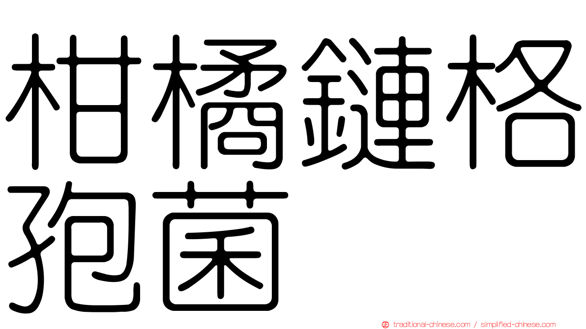 柑橘鏈格孢菌