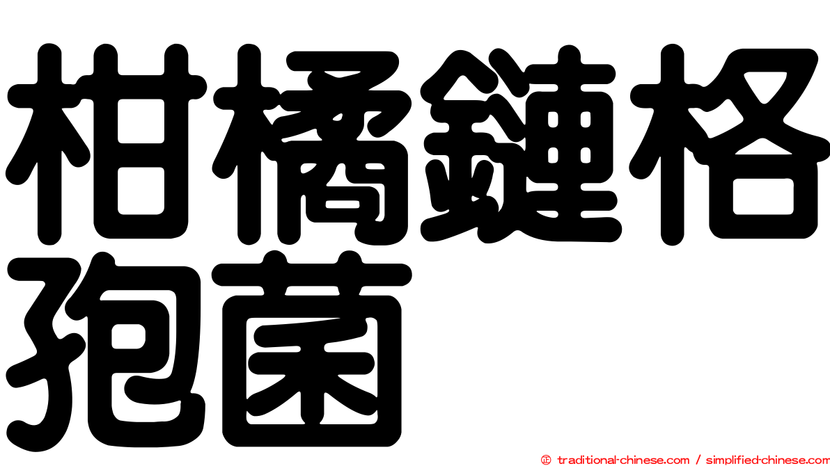 柑橘鏈格孢菌