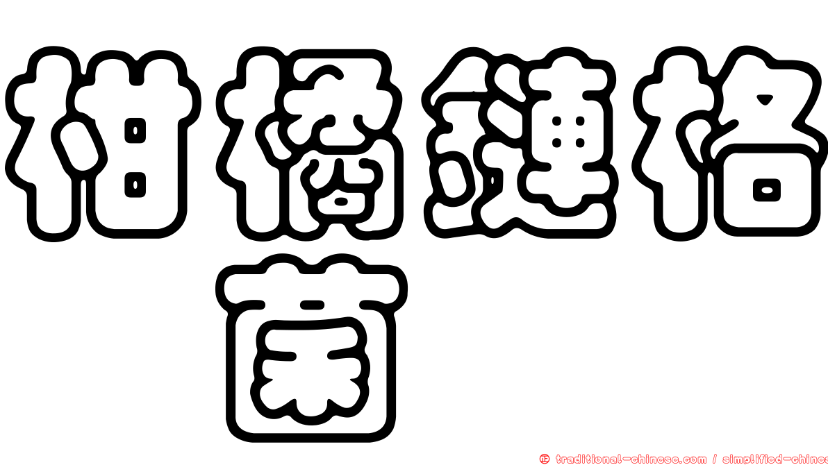 柑橘鏈格孢菌