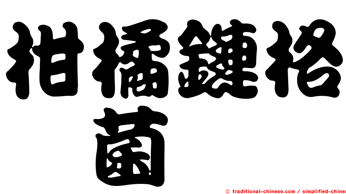 柑橘鏈格孢菌