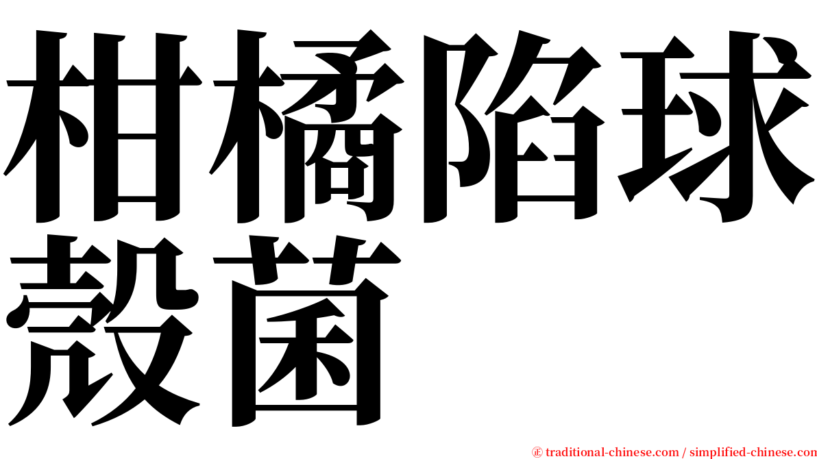 柑橘陷球殼菌 serif font