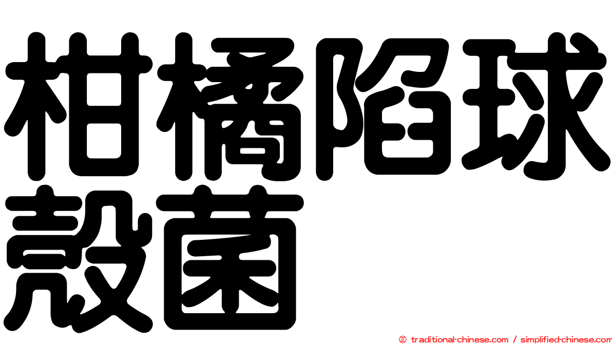 柑橘陷球殼菌