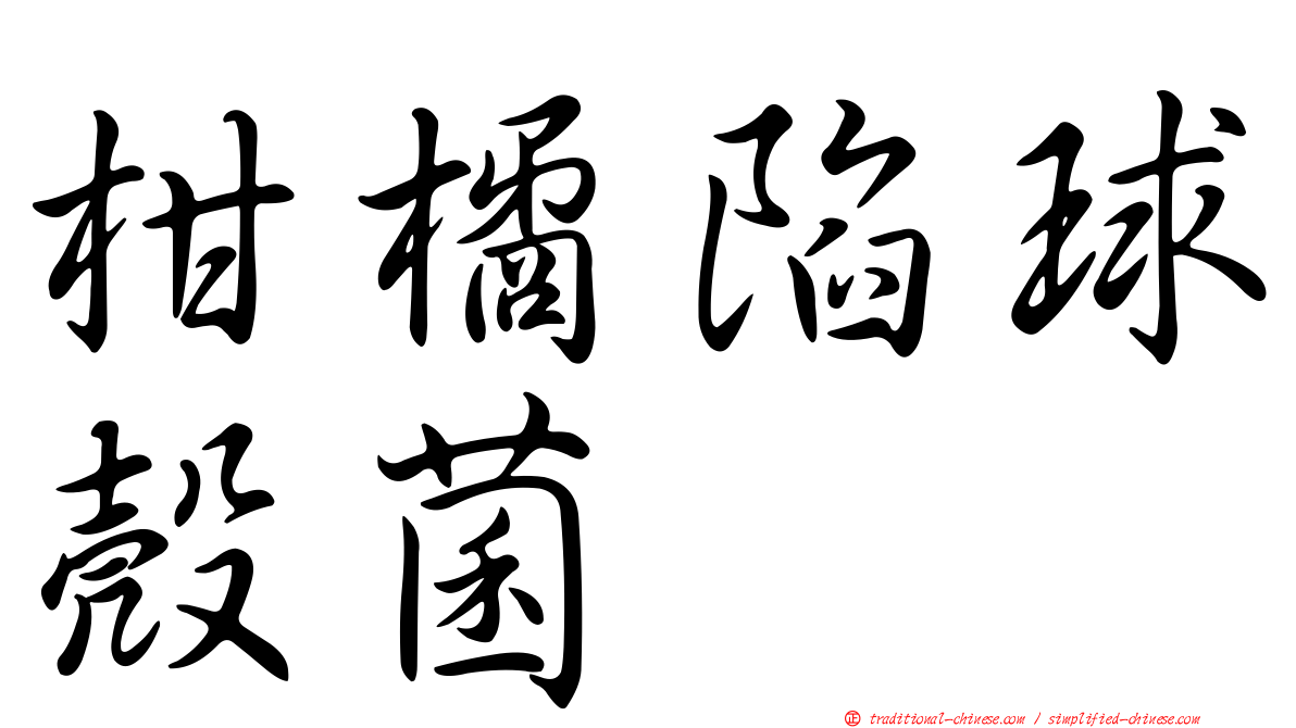 柑橘陷球殼菌