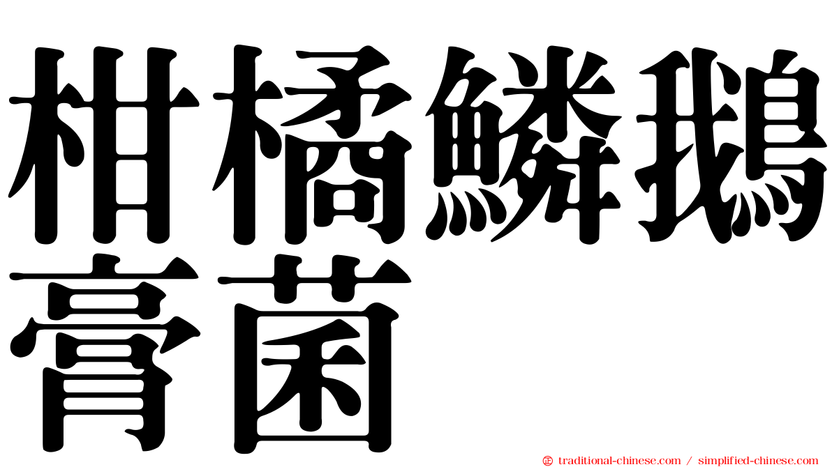 柑橘鱗鵝膏菌