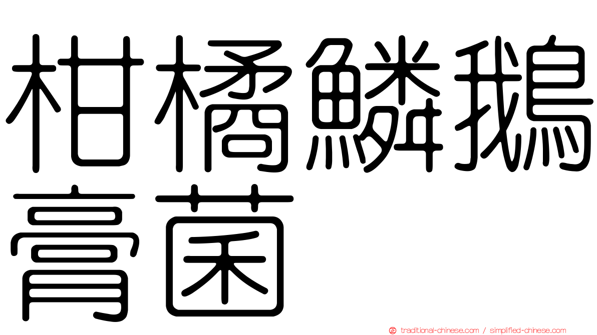 柑橘鱗鵝膏菌