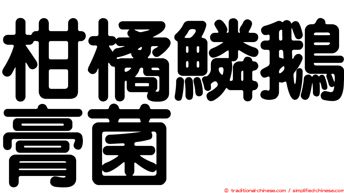 柑橘鱗鵝膏菌