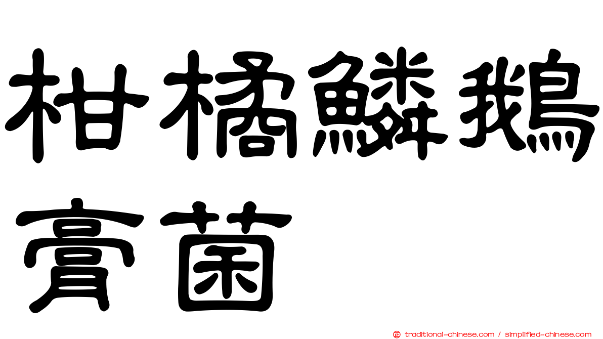 柑橘鱗鵝膏菌