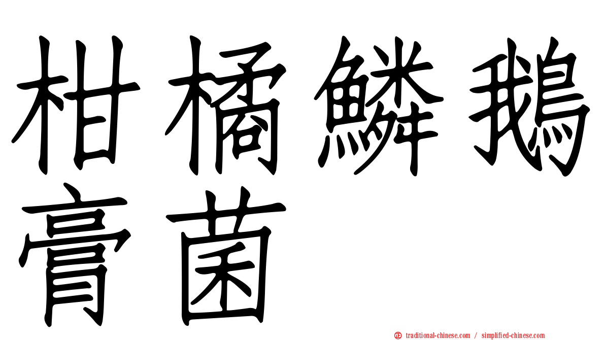 柑橘鱗鵝膏菌