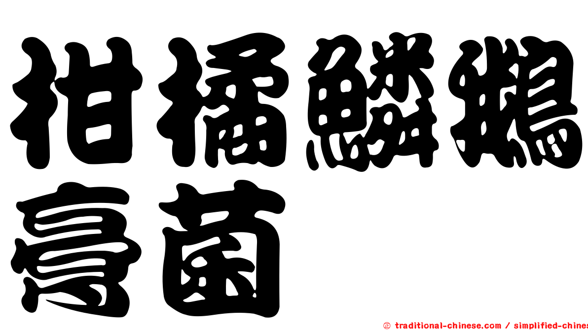 柑橘鱗鵝膏菌