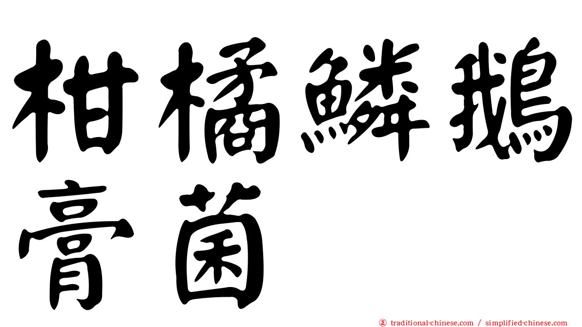 柑橘鱗鵝膏菌