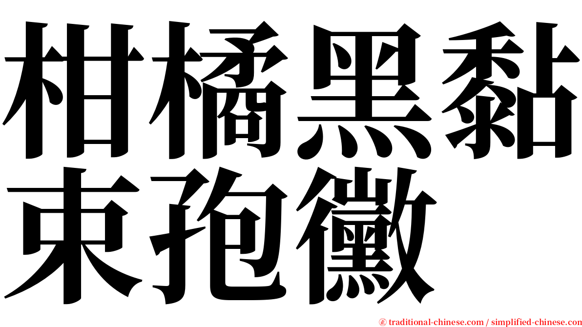 柑橘黑黏束孢黴 serif font
