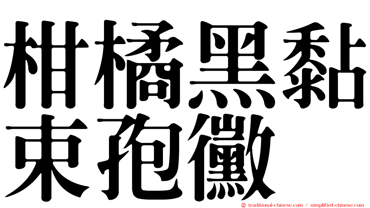 柑橘黑黏束孢黴