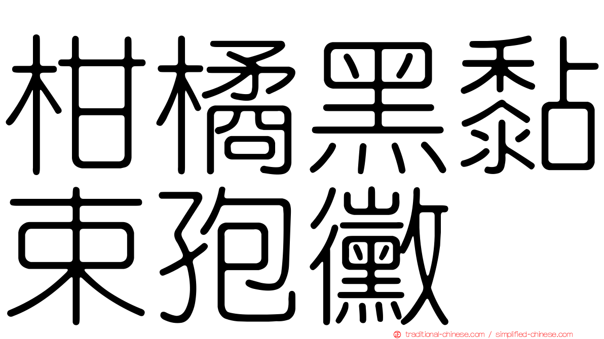 柑橘黑黏束孢黴