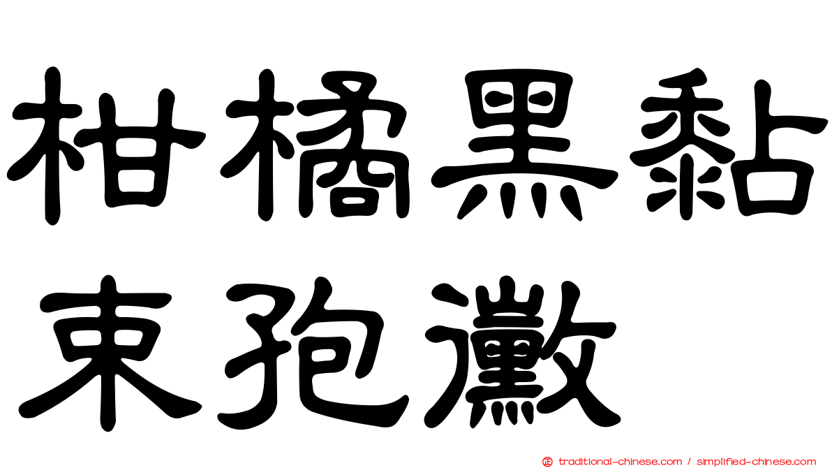 柑橘黑黏束孢黴