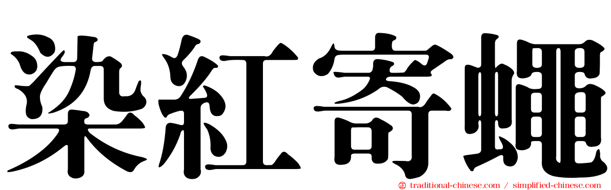 染紅寄蠅