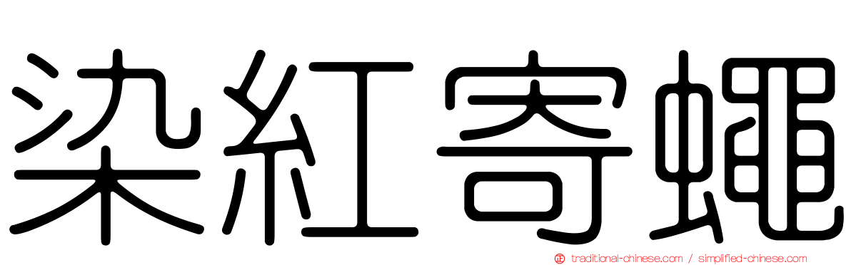 染紅寄蠅