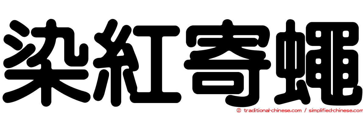 染紅寄蠅
