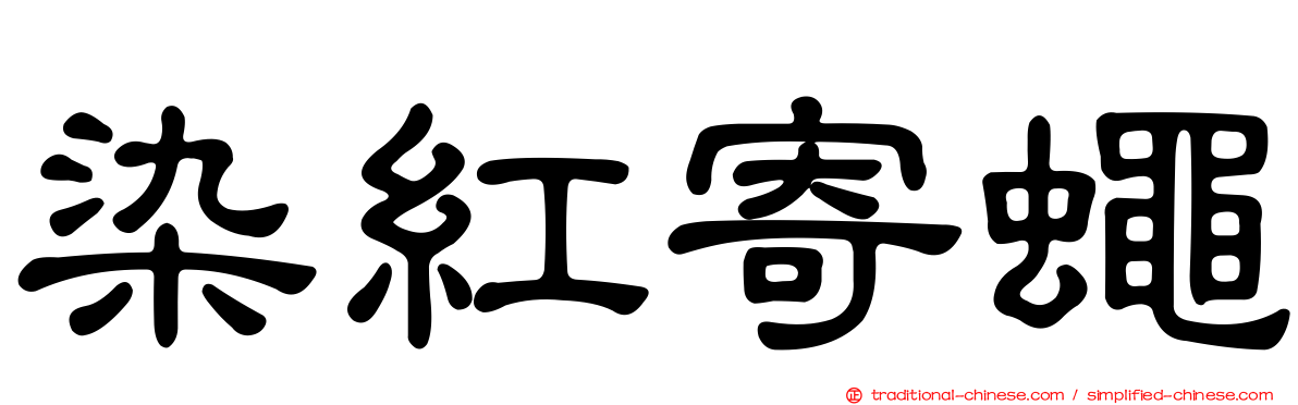 染紅寄蠅