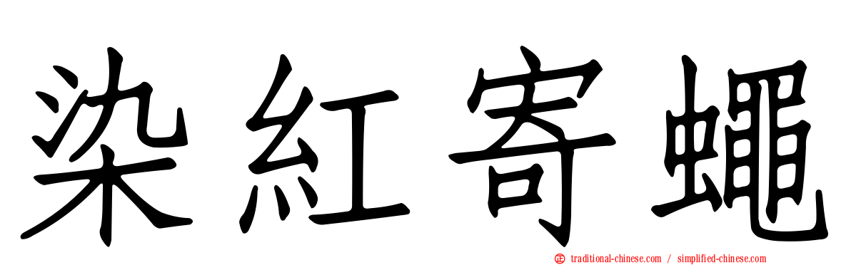 染紅寄蠅