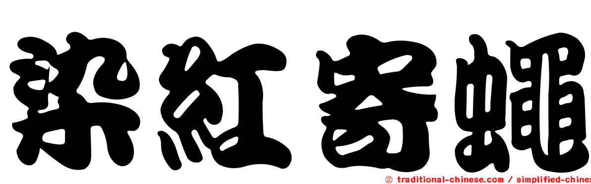 染紅寄蠅